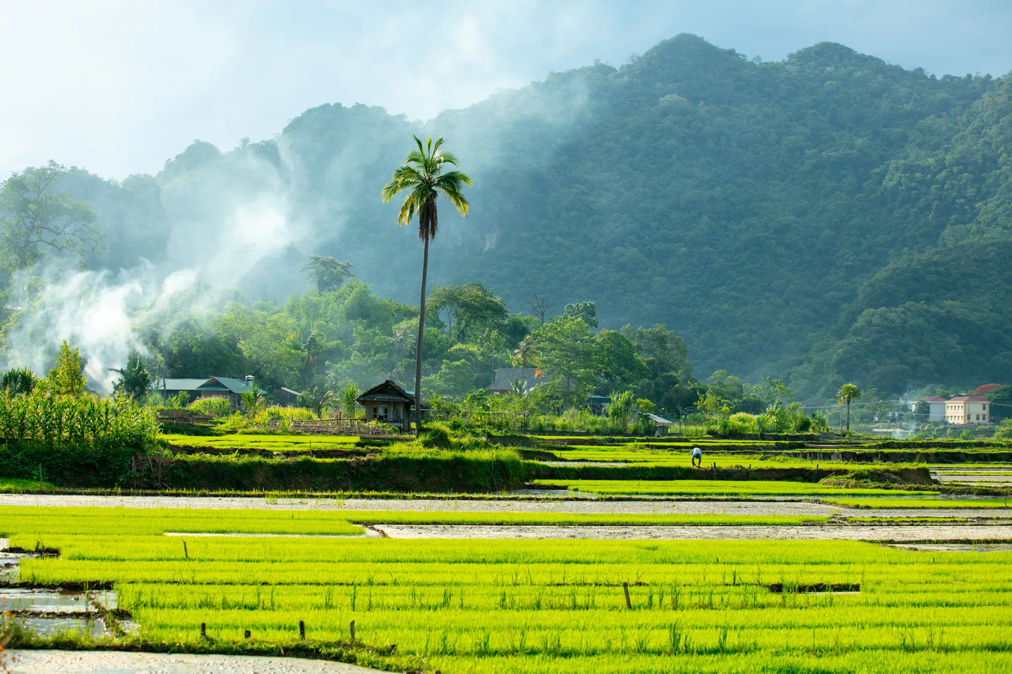 Northern Vietnam Cycling Tour 9 Days